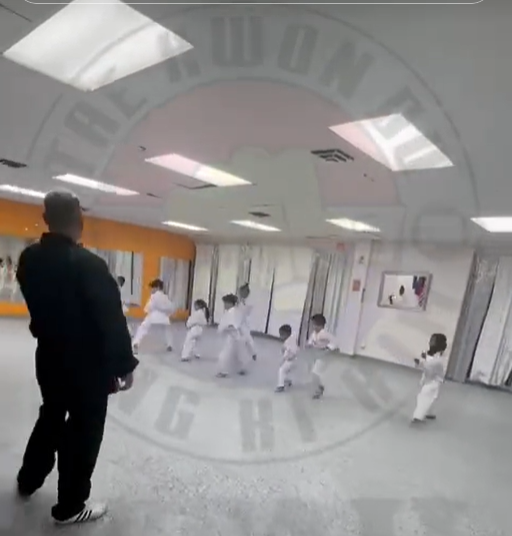 Práctica de formas (poomsae)
